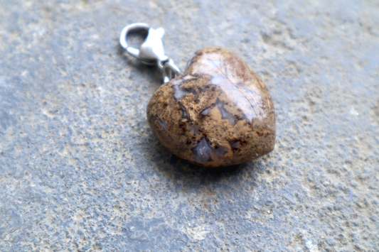 Cheetah Agate Heart Station