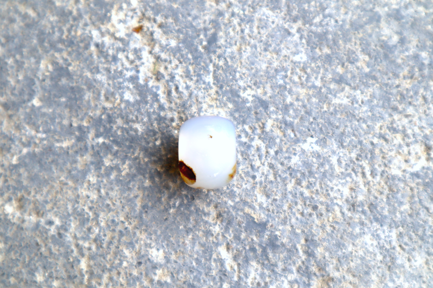 Montana Agate Bead