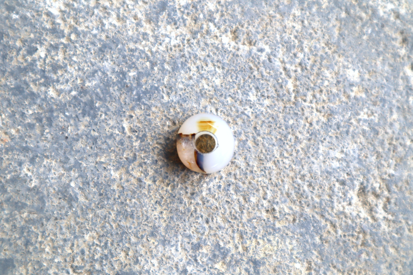 Montana Agate Bead