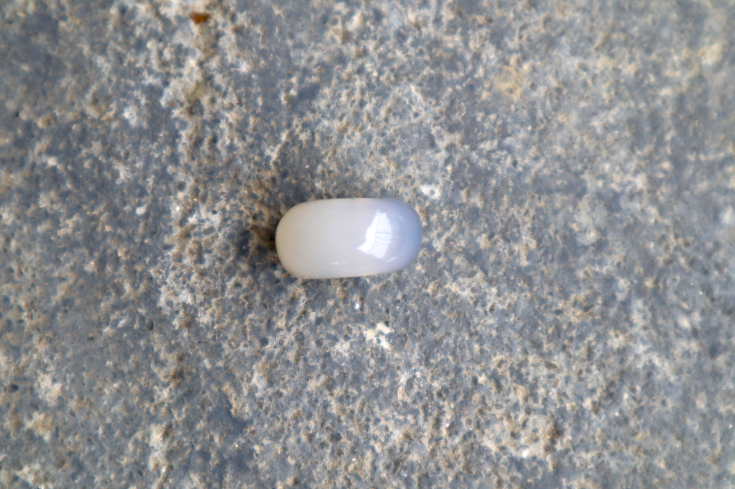 Montana Agate Bead