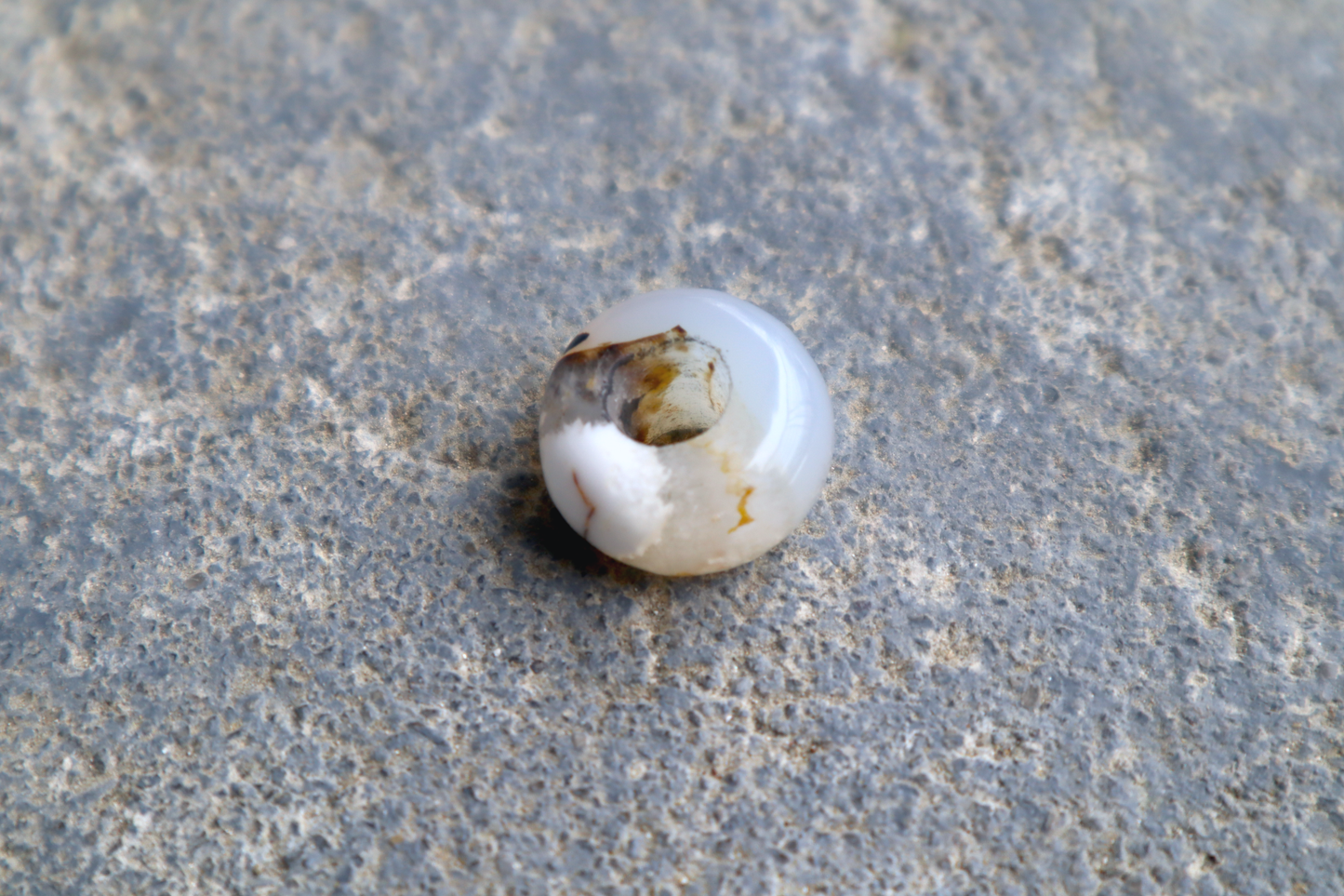 Montana Agate Bead