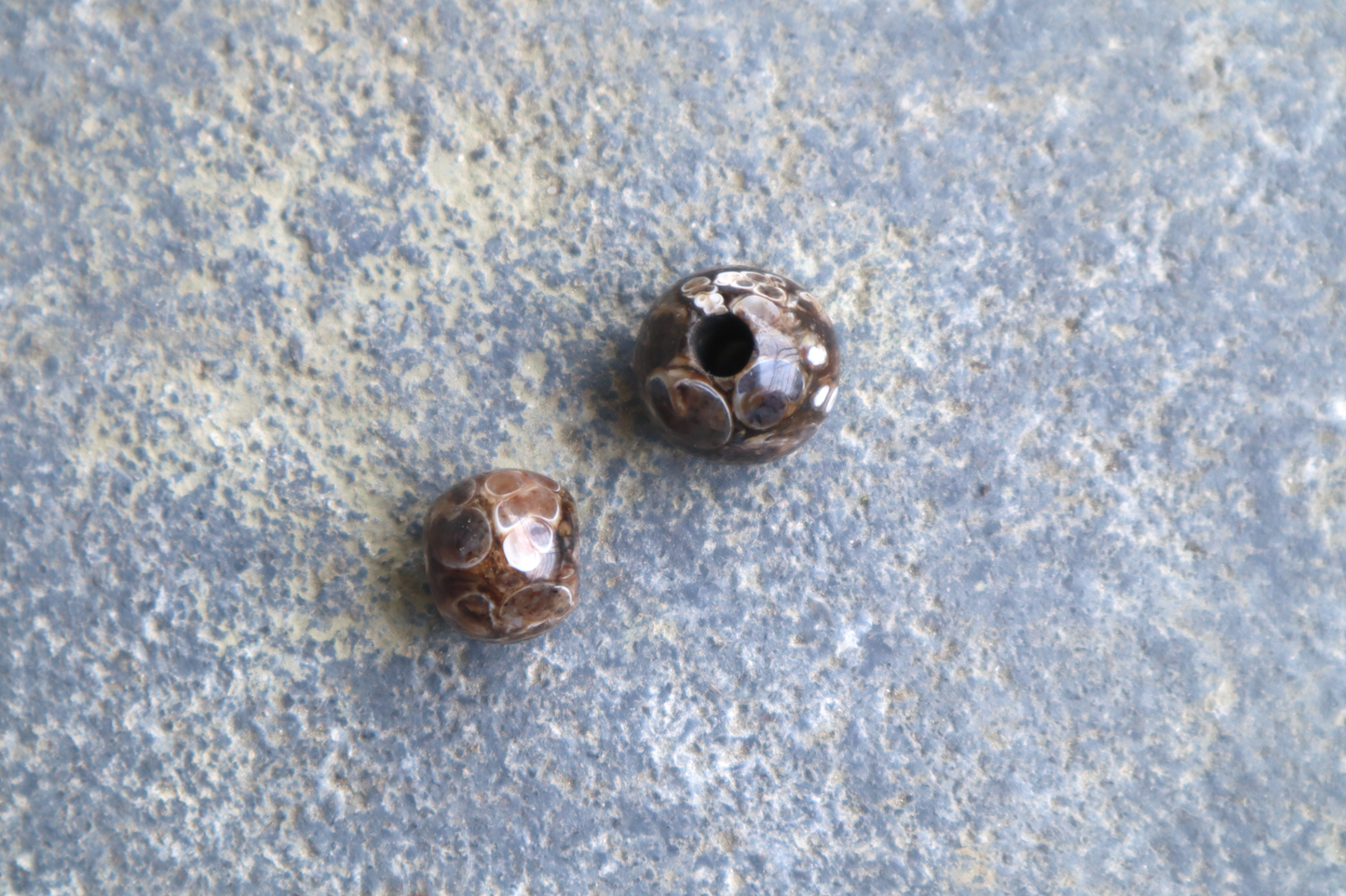 Turritella Agate Bead