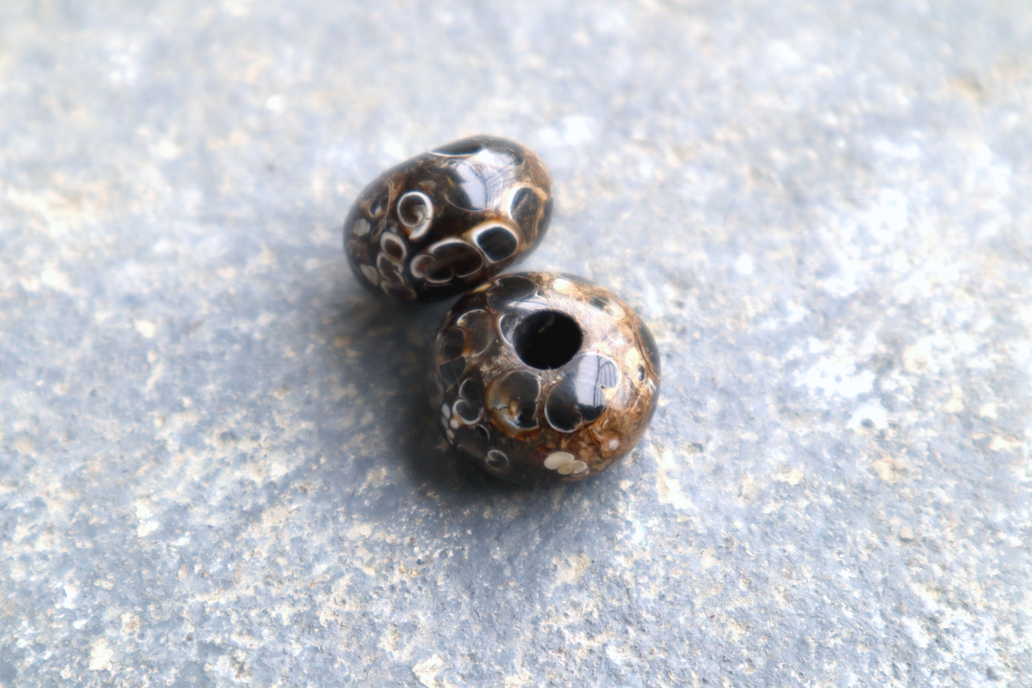 Turritella Agate Bead