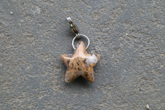 Cheetah Agate Wonky Star