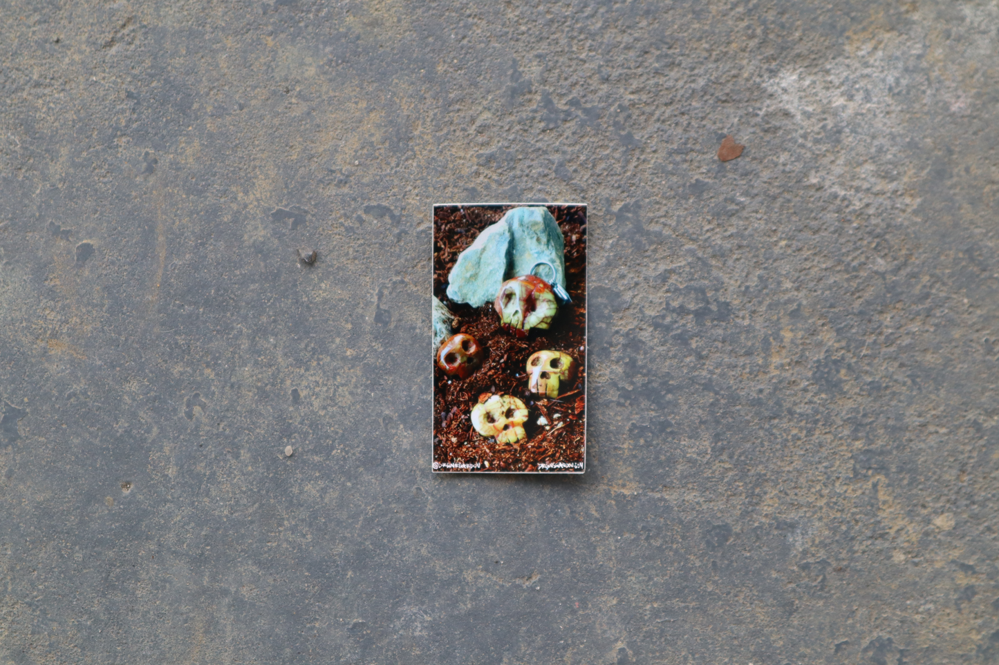 A single 2" x 3.5" sticker of 4 brown stones, carved into skull shapes. Sticker sits atop a gray surface