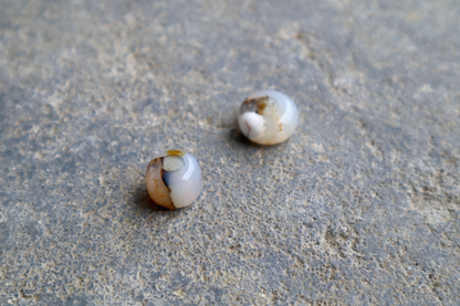 Montana Agate Bead