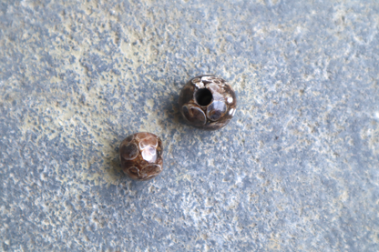 Turritella Agate Bead