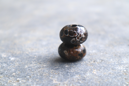 Turritella Agate Bead